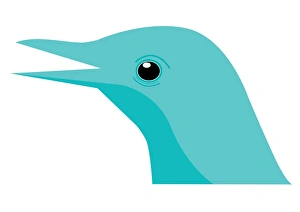 Digital illustration bird head showing straight, insect-eating beak Digital illustration bird head showing straight, insect-eating beak
