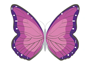 Digital illustration butterfly with spread wings Digital illustration butterfly with spread wings