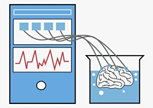 Digital illustration of computer providing stimulation to human brain, and brain experiencing virtual world Digital illustration of computer providing stimulation to human brain, and brain experiencing virtual world