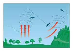 Digital illustration of Eagles soaring using columns of warm air known as thermal updraughts formed Digital illustration of Eagles soaring using columns of warm air known as thermal updraughts formed