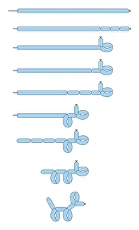 Digital illustration of image sequence showing how to make poodle out of a blue balloon Digital illustration of image sequence showing how to make poodle out of a blue balloon
