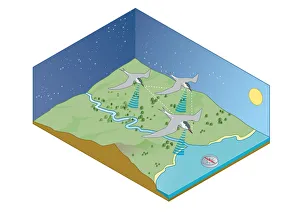 Digital illustration of migration navigation of birds including the sun, stars Digital illustration of migration navigation of birds including the sun, stars