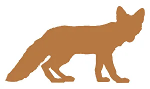 Digital illustration of Red Fox (Vulpes vulpes) Digital illustration of Red Fox (Vulpes vulpes)