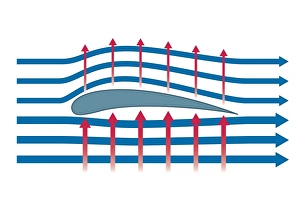 Digital illustration representing aerodynamics of birds wing, forming curved shape along upper surface known as Digital illustration representing aerodynamics of birds wing, forming curved shape along upper surface known as