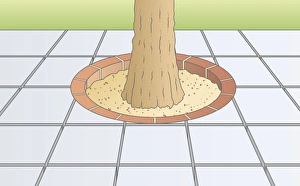 Digital illustration showing paving stones arranged around base of tree Digital illustration showing paving stones arranged around base of tree