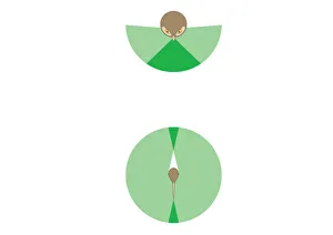 Digital illustration showing vision span of owl compared to normal bird Digital illustration showing vision span of owl compared to normal bird