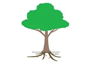 Digital illustration tree showing roots underground Digital illustration tree showing roots underground