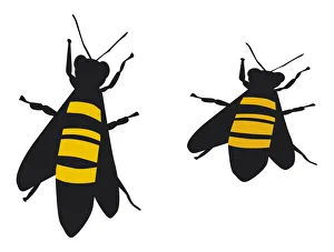 Digital illustration of yellow and black striped bees Digital illustration of yellow and black striped bees