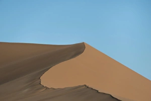 Dune landscape, Sossusvlei, Namib Naukluft Park, Namibia Dune landscape, Sossusvlei, Namib Naukluft Park, Namibia