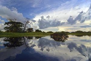 Dusk at a lake-like widened part of the Amazon or Rio Solimoes, Mamiraua Sustainable Development Reserve, Manaus Dusk at a lake-like widened part of the Amazon or Rio Solimoes, Mamiraua Sustainable Development Reserve, Manaus