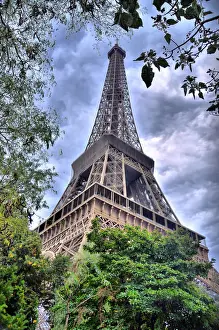 Eiffel Tower Photography Prints: Eiffel Tower Behind Tree