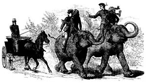 Elephant transportation - The Illustrated London News Elephant transportation - The Illustrated London News