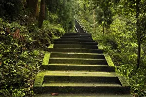 Springtime Mountain Landscape Prints: Emei Shan Trail