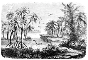 Engraving landscape of Jurassic period with dinosaur Engraving landscape of Jurassic period with dinosaur