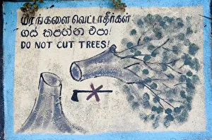 Environmental protection, painted sign, Do not cut trees depicting a felled tree and a crossed-out axe, Nuwara Eliya Environmental protection, painted sign, Do not cut trees depicting a felled tree and a crossed-out axe, Nuwara Eliya