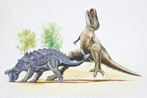 Euoplocephalus hitting a Tyrannosaurus with its tail club Euoplocephalus hitting a Tyrannosaurus with its tail club