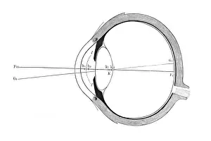 Eye Print, Schematic Representation