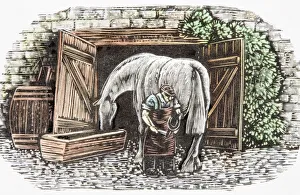 Farrier shoeing horse drinking water from trough near open stable doors, rear view Farrier shoeing horse drinking water from trough near open stable doors, rear view