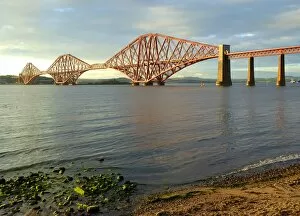Rail Transportation Collection: The firth of forth railway bridge