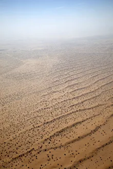 Flying over a settlement in the desert of the United Arab Emirates, with scattered habitation, a road and agriculture Flying over a settlement in the desert of the United Arab Emirates, with scattered habitation, a road and agriculture