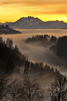 Foggy mood in the evening light with view on Mt. Pilatus, Zug, Switzerland, Europe Foggy mood in the evening light with view on Mt. Pilatus, Zug, Switzerland, Europe