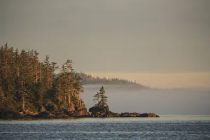 Foggy scene near Schooner Channel, Northern British Columbia, Canada Foggy scene near Schooner Channel, Northern British Columbia, Canada