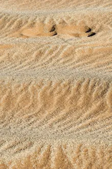 Footprint in the sand. Sossuvlei, Namibia Footprint in the sand. Sossuvlei, Namibia