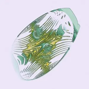 Digital Art Graphics Prints: Fractal graphics, abstract