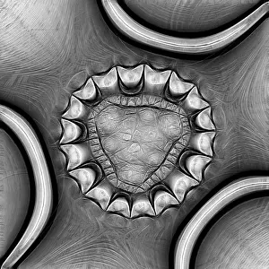 Abstract Geometry Prints: Fractal object