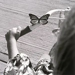 Girl with a butterfly on bicycle Girl with a butterfly on bicycle