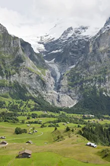 Glacier Tongue, Upper Grindelwald Glacier, Alpine meadow, Grindelwald, Bernese Oberland, Canton of Bern, Alps Glacier Tongue, Upper Grindelwald Glacier, Alpine meadow, Grindelwald, Bernese Oberland, Canton of Bern, Alps