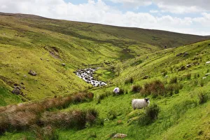 Glendun valley near Cushendun, Glens of Antrim, County Antrim, Northern Ireland, United Kingdom, Europe Glendun valley near Cushendun, Glens of Antrim, County Antrim, Northern Ireland, United Kingdom, Europe