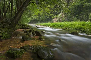 Golden Whip Stream Zhangjiajie National Park Golden Whip Stream Zhangjiajie National Park