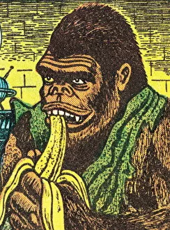 Images Dated 11th December 2002: Gorilla with banana
