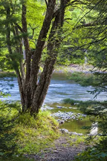 Grand Pitch on East Branch of Penobscot River, International Appalachian Trail, Baxter State Park, Maine, USA Grand Pitch on East Branch of Penobscot River, International Appalachian Trail, Baxter State Park, Maine, USA