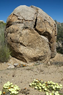 Granite rock, split by extreme temperature fluctuations, Namaqualand, South Africa, Africa Granite rock, split by extreme temperature fluctuations, Namaqualand, South Africa, Africa