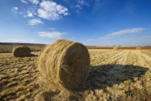 Grass Bales in Farm Landscape, North West Province, South Africa Grass Bales in Farm Landscape, North West Province, South Africa