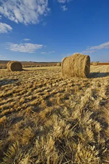 Grass Bales in remote Farm Landscape, North West Province, South Africa Grass Bales in remote Farm Landscape, North West Province, South Africa
