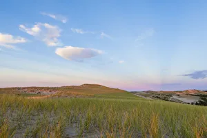 Grass on dunes at sunset, Provincetown, Cape Cod National Seashore, Massachusetts, USA Grass on dunes at sunset, Provincetown, Cape Cod National Seashore, Massachusetts, USA