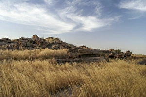 Grassland on top of Bandiagara Escarpment Grassland on top of Bandiagara Escarpment