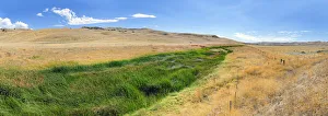 Green fertile river bed of the Cholame Creek in the middle of the dry California hills Green fertile river bed of the Cholame Creek in the middle of the dry California hills