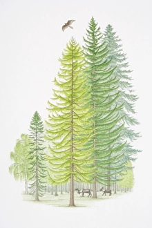 Green forest with grazing deer and a bird flying above tree-tops Green forest with grazing deer and a bird flying above tree-tops