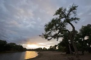 Green Pool, Mana Pools National park, Zimbabwe Green Pool, Mana Pools National park, Zimbabwe