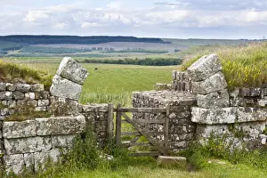 Roman Ruins UK Prints: Hadrians Wall