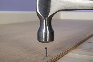Hammering a ring-shank nail in to plywood on the floor Hammering a ring-shank nail in to plywood on the floor