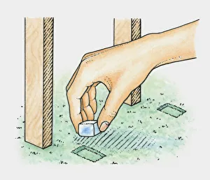 Hand placing ice cube into dent in carpet caused by legs of table or chair (removing dent in carpet) Hand placing ice cube into dent in carpet caused by legs of table or chair (removing dent in carpet)