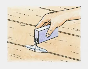 Hand pouring talcum powder into cracks between old floorboards to prevent squeaks Hand pouring talcum powder into cracks between old floorboards to prevent squeaks