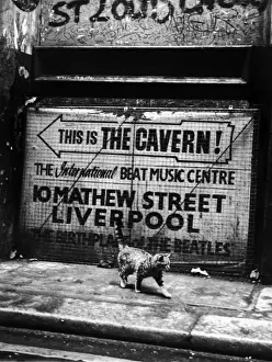 Beatles Liverpool Prints: Hep Cat