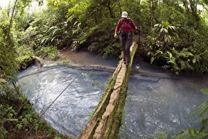Hiker crossing the Rio Celeste on a wooden bridge, Tenorio National Park, Guanacaste Hiker crossing the Rio Celeste on a wooden bridge, Tenorio National Park, Guanacaste