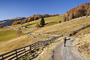 Hiker during the descent from the Gedrumalm alpine pastures in the Gedrum Valley above Reinswald in the Sarn Valley Hiker during the descent from the Gedrumalm alpine pastures in the Gedrum Valley above Reinswald in the Sarn Valley